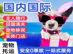 大连空运代理国际宠物托运 【国